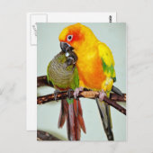 Farbenfrohe Shelter Bird-Postkarten Postkarte (Vorne/Hinten)
