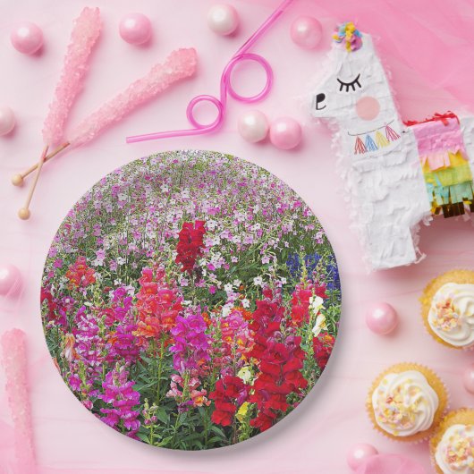 Farbenfrohe Snapdragon Garden Pappteller (Party)