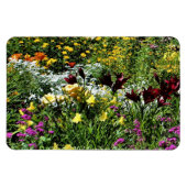 Farbenfrohe Sommergärten! Magnet (Horizontal)