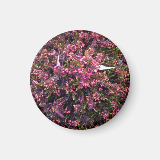 Farbenfrohe Sommerhitze Magnet (Vorne)