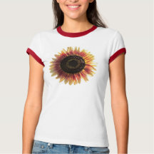 Farbenfrohe Sonnenblume
