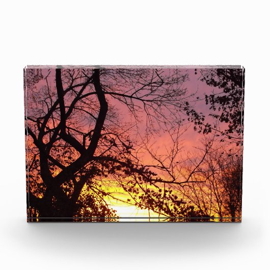 Farbenfrohe Sonnenuntergänge durch seltene Bäume Fotoblock (Vorderseite)