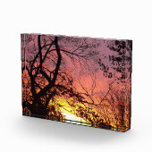 Farbenfrohe Sonnenuntergänge durch seltene Bäume Fotoblock (Rechts)