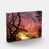 Farbenfrohe Sonnenuntergänge durch seltene Bäume Fotoblock (Links)