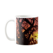 Farbenfrohe Sonnenuntergänge durch seltene Bäume