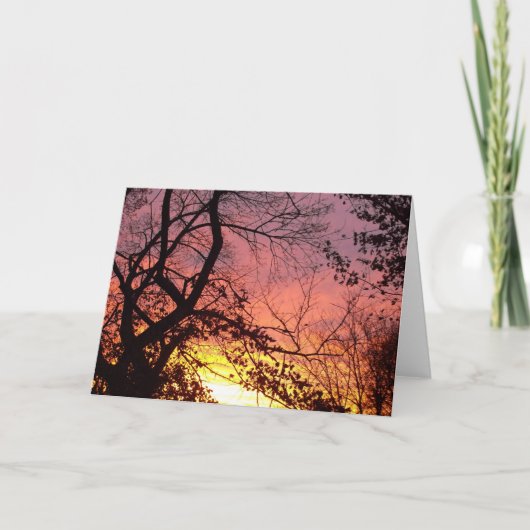 Farbenfrohe Sonnenuntergänge durch seltene Bäume Karte (Vorderseite)