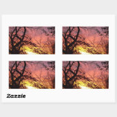 Farbenfrohe Sonnenuntergänge durch seltene Bäume Rechteckiger Aufkleber (Blatt)