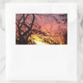 Farbenfrohe Sonnenuntergänge durch seltene Bäume Rechteckiger Aufkleber (Tasche)