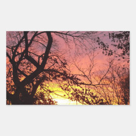 Farbenfrohe Sonnenuntergänge durch seltene Bäume Rechteckiger Aufkleber