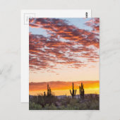 Farbenfrohe Sonoran-Wüste Sonnenaufgang Postkarte (Vorne/Hinten)