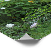 Farbenfrohe SpätAugust Gärten! Poster (Ecke)