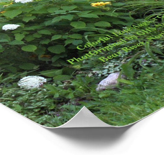 Farbenfrohe SpätAugust Gärten! Poster (Ecke)