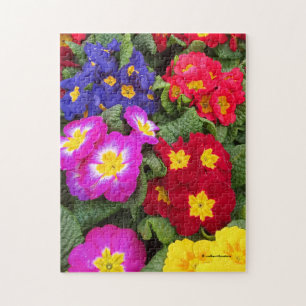 Farbenfrohe Springtime Floral Medley von Primulas Puzzle