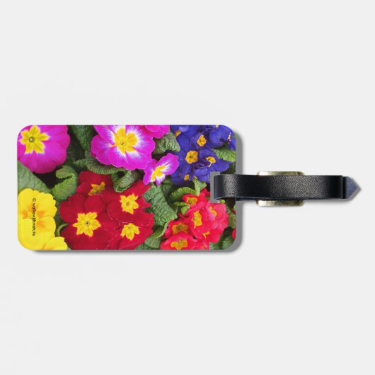 Farbenfrohe Springtime Medley von Primulas Floral Gepäckanhänger (Rückseite horizontal)