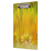 Farbenfrohe Sprossen Klemmbrett (Links)