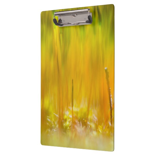 Farbenfrohe Sprossen Klemmbrett (Links)