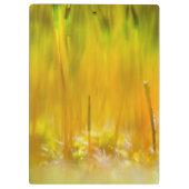 Farbenfrohe Sprossen Klemmbrett (Rückseite)