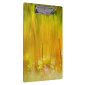 Farbenfrohe Sprossen Klemmbrett (Rechts)