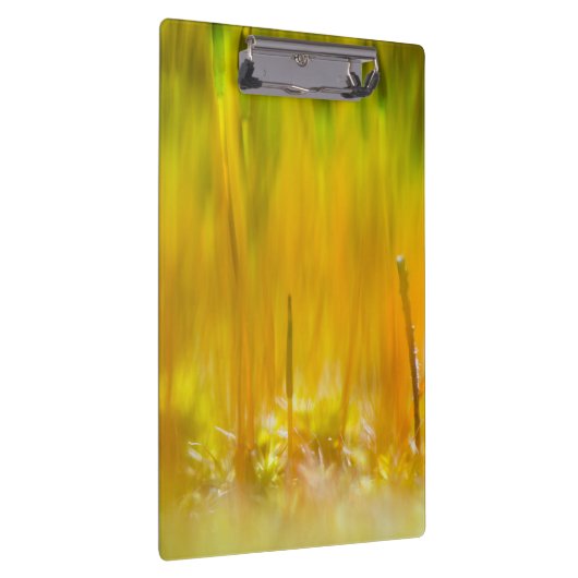 Farbenfrohe Sprossen Klemmbrett (Rechts)