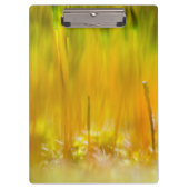 Farbenfrohe Sprossen Klemmbrett (Vorderseite)