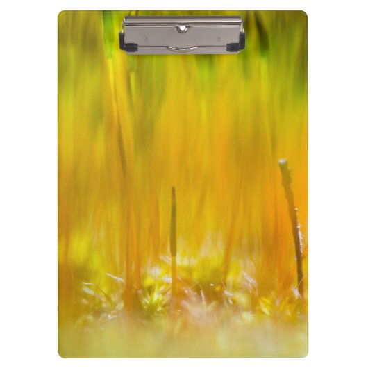 Farbenfrohe Sprossen Klemmbrett (Vorderseite)