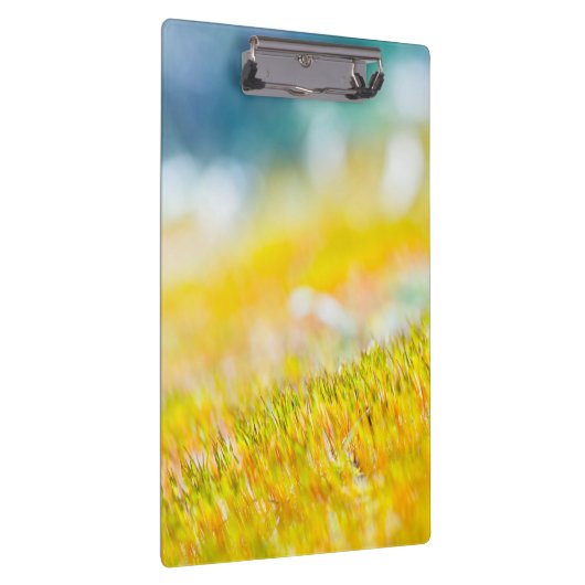 Farbenfrohe Sprossen Klemmbrett (Rechts)