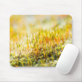 Farbenfrohe Sprossen Mousepad (Mit Mouse)