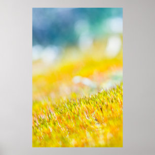Farbenfrohe Sprossen Poster