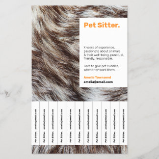 Farbenfrohe Stand out Pet Sitting Detachable Info Flyer