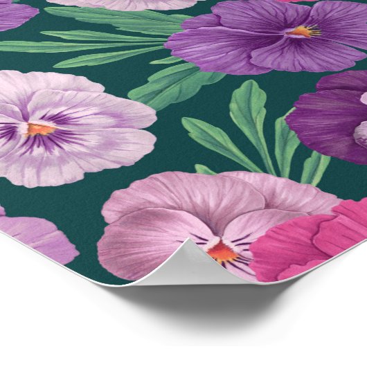 Farbenfrohe Stiefmütterchen auf dunkelgrünblau Poster (Ecke)