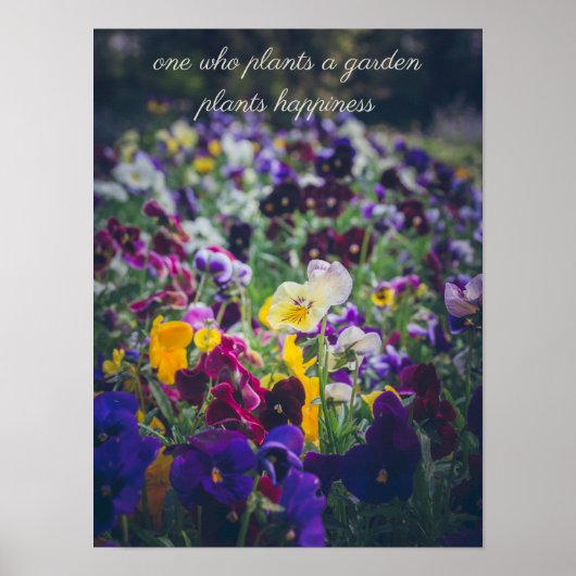 Farbenfrohe Stiefmütterchen im Garten Poster (Vorne)
