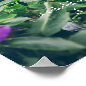 Farbenfrohe Stiefmütterchen im Sommergarten Poster (Ecke)