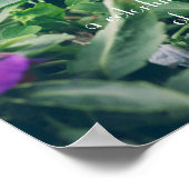 Farbenfrohe Stiefmütterchen im Sommergarten Poster (Ecke)