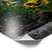 Farbenfrohe Straße in Rothenburg ob der Tauber Fotodruck (Ecke)