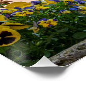 Farbenfrohe Straße in Rothenburg ob der Tauber Poster (Ecke)