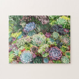 Farbenfrohe Sukkularität Puzzle