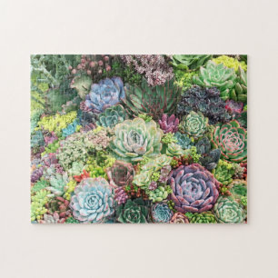 Farbenfrohe Sukkularität Puzzle