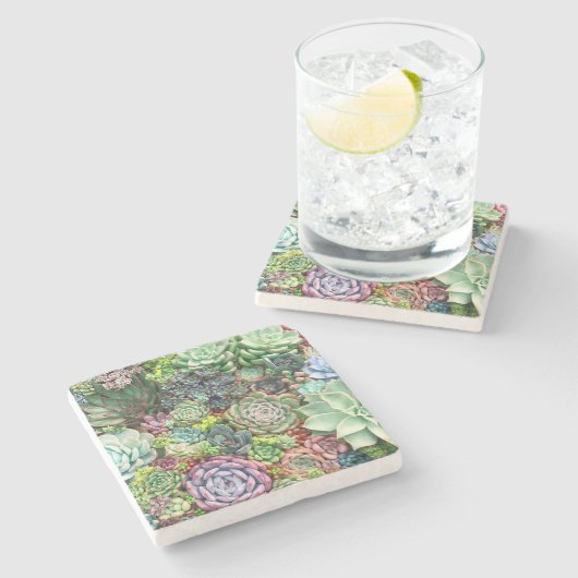 Farbenfrohe Sukkularität Steinuntersetzer (Seitenansicht)