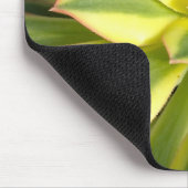 Farbenfrohe Sukkuline Mousepad #2 (Ecke)