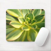 Farbenfrohe Sukkuline Mousepad #2 (Mit Mouse)