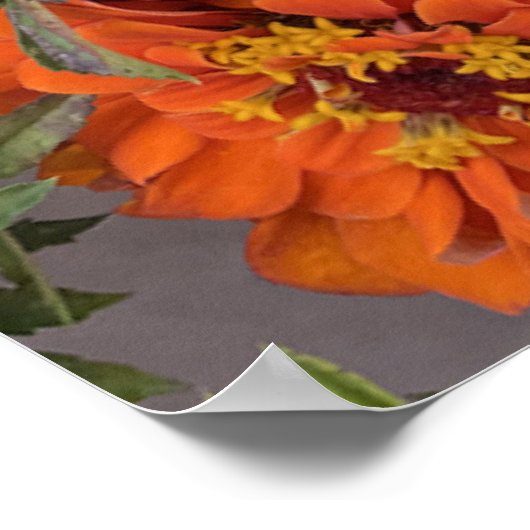 Farbenfrohe Summer Bouquet Poster (Ecke)