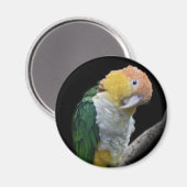 Farbenfrohe Süsse Magnet (Vorderseite/Rückseite)