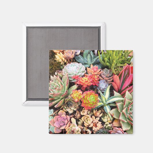 Farbenfrohe, süße Mischung Magnet (Vorderseite/Rückseite)