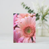 Farbenfrohe Tage Postkarte (Stehend Vorderseite)