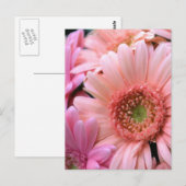 Farbenfrohe Tage Postkarte (Vorne/Hinten)