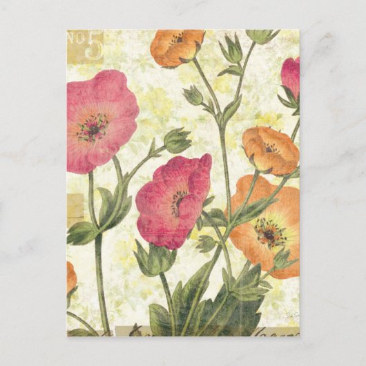 Farbenfrohe Tische Postkarte (Vorderseite)