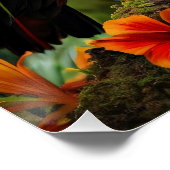 Farbenfrohe Toucan Bird Poster (Ecke)