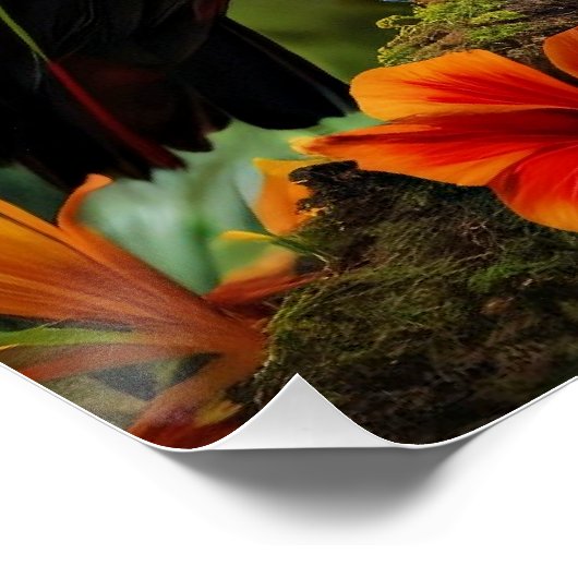 Farbenfrohe Toucan Bird Poster (Ecke)