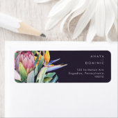 Farbenfrohe tropische Flora | LILA RÜCKSENDEADRESS (Insitu)