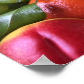 Farbenfrohe tropische Früchte Poster (Ecke)